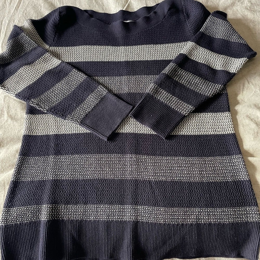 Market & Spruce navy blue striped sweater